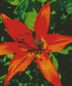 Wood Lily Plant Diamond Painting