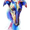 Colorful Greyhound Art Diamond Painting