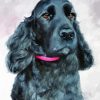 Black Spaniel Dog Diamond Painting