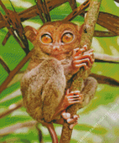 Tarsier Primate Diamond Painting