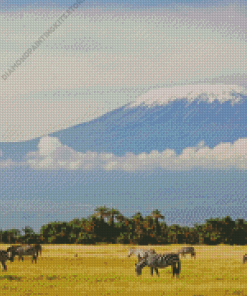 Zebras Mount Kilimanjaro Diamond Painting