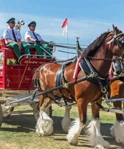 Budweiser Clydesdales Diamond Painting