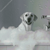 Dog in Bath Diamond Painting