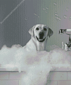 Dog in Bath Diamond Painting