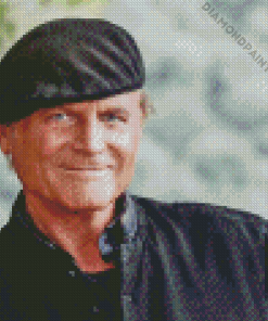 Terence Hill Diamond Painting