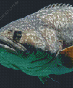 Groupers Fish Diamond Painting
