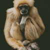Gibbon Monkey Diamond Painting