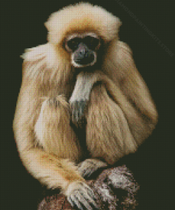 Gibbon Monkey Diamond Painting
