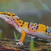 Leopard Gecko Diamond Painting