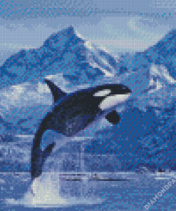 Orca Dolphin Diamond Painting