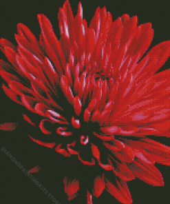 Red Chrysanthemum Diamond Painting