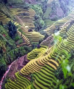 Rice Fields And Terraces Diamond Painting
