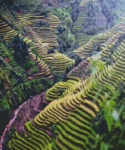 Rice Fields And Terraces Diamond Painting
