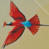 Southern Carmine Bee Eater Diamond Painting