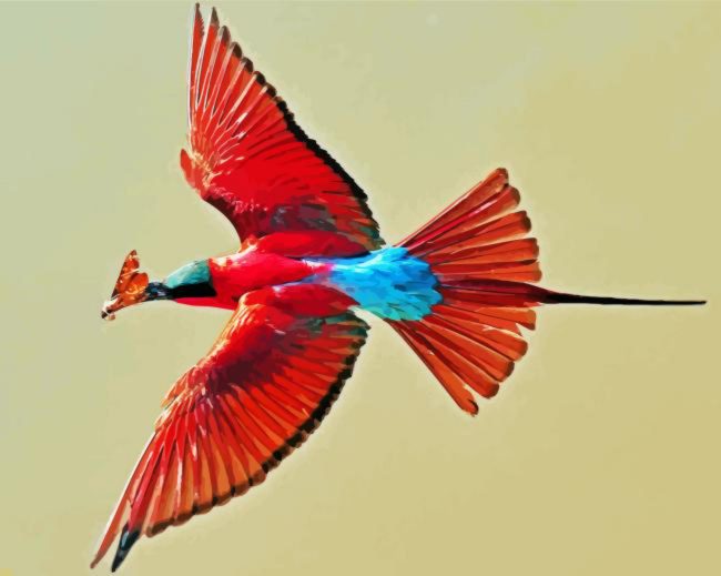 Southern Carmine Bee Eater Diamond Painting