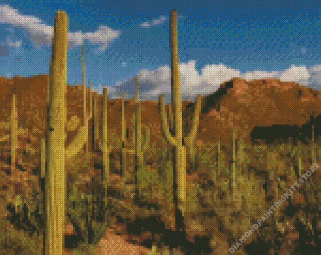 Cactus In The Desert Diamond Painting