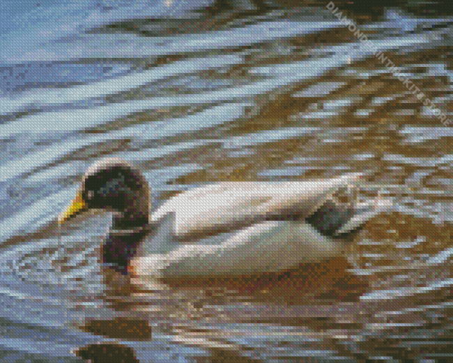 Duck Swimming in Pond Diamond Painting