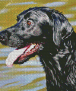Labrador Retriever Diamond Painting