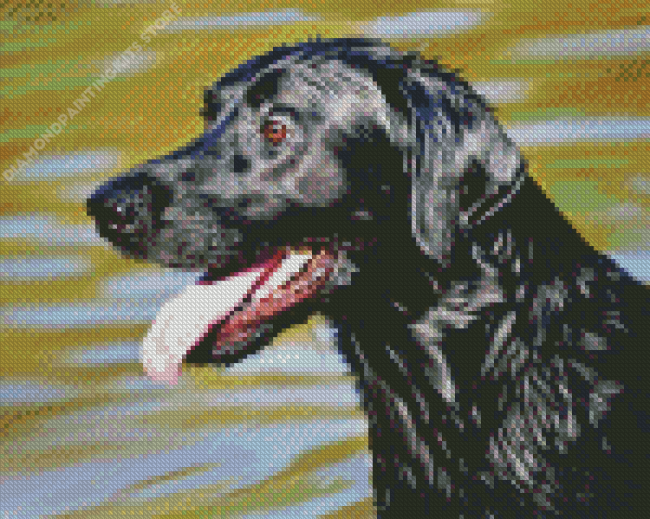 Labrador Retriever Diamond Painting