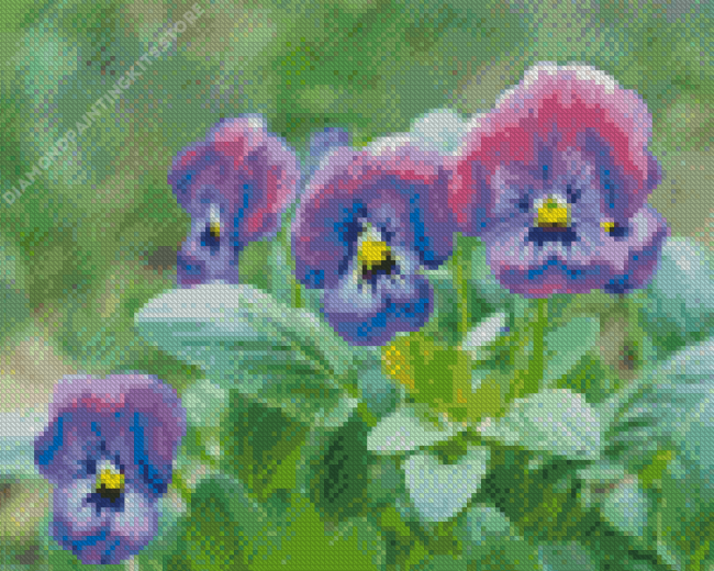 Pansy Flower Diamond Painting