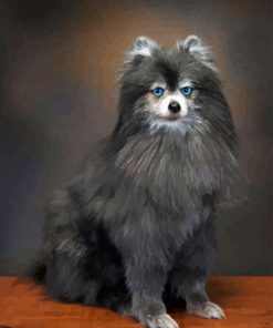 Pomeranian Grey Dog Diamond Painting