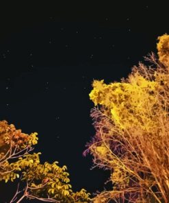Tree In The Night Diamond Painting