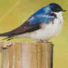 Tree Swallow Bird Diamond Painting