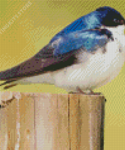 Tree Swallow Bird Diamond Painting