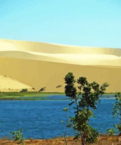 White sand dunes Diamond By Numbers
