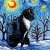 Starry night cat Diamond Paints