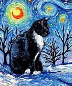 Starry night cat Diamond Paints