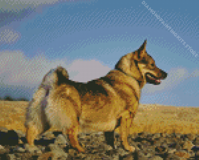 Swedis Vallhund Diamond Paints