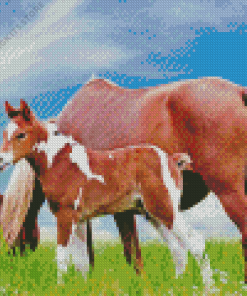 mare and foal in pasture Diamond By Numbers