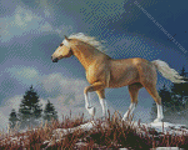 palomino mustang horse Diamond Paints