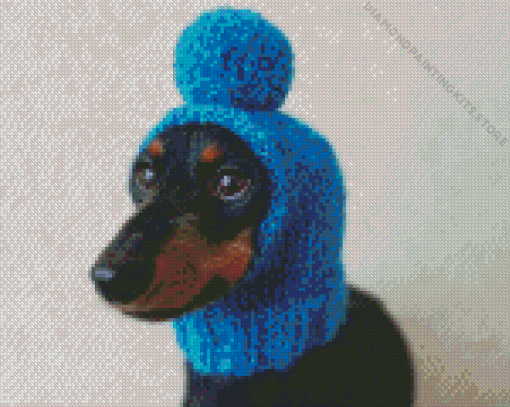 Dog with Blue Hat Diamond With Numbers