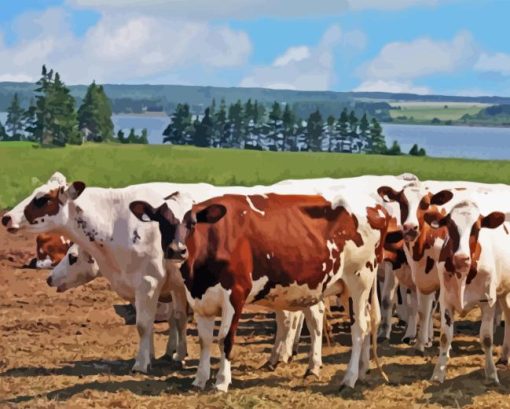 Ayrshire cows Diamond Paintings