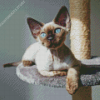 Blue Eyes Devon rex Diamond Paintings