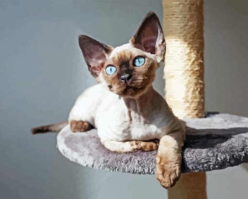 Blue Eyes Devon rex Diamond Paintings