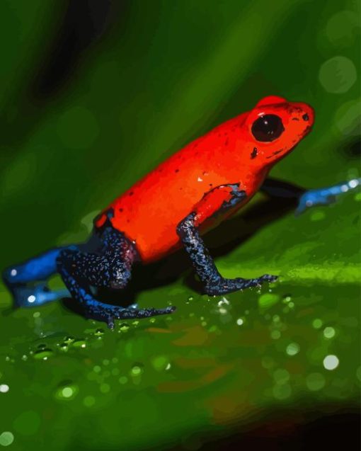 Dart frogs Diamond Dotz