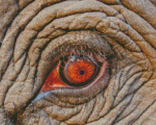 Elephant Eye 5D Diamond Painting