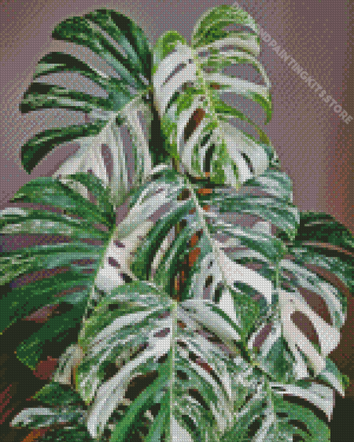 Green And White Leaves Diamond Paintings