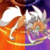 Lycanroc Diamond Paintings