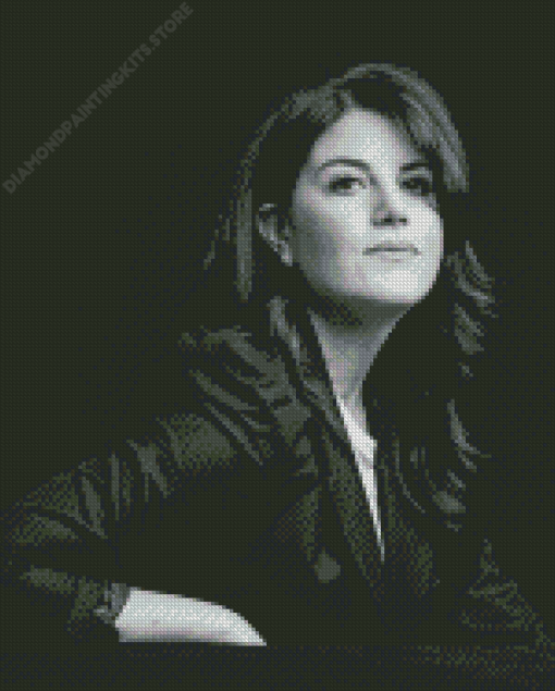 Monica Lewinsky 5D Diamond Painting