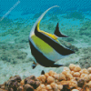 Moorish idol Diamond Paintings