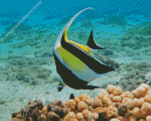 Moorish idol Diamond Paintings