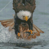 Sea Eagle Catching Fish Diamond Paints