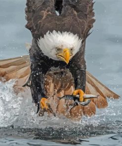Sea Eagle Catching Fish Diamond Paints