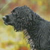 black english spaniel dog Diamond Paintings