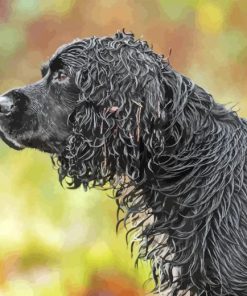black english spaniel dog Diamond Paintings