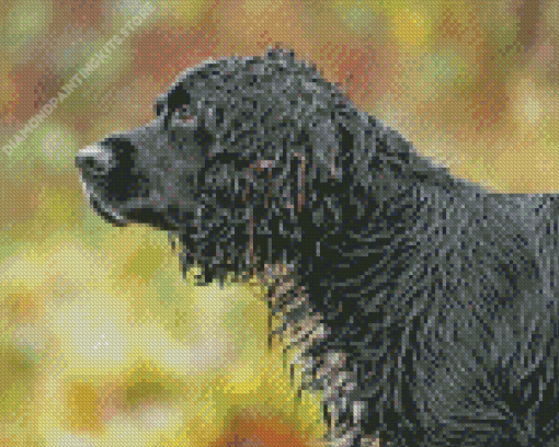 black english spaniel dog Diamond Paintings